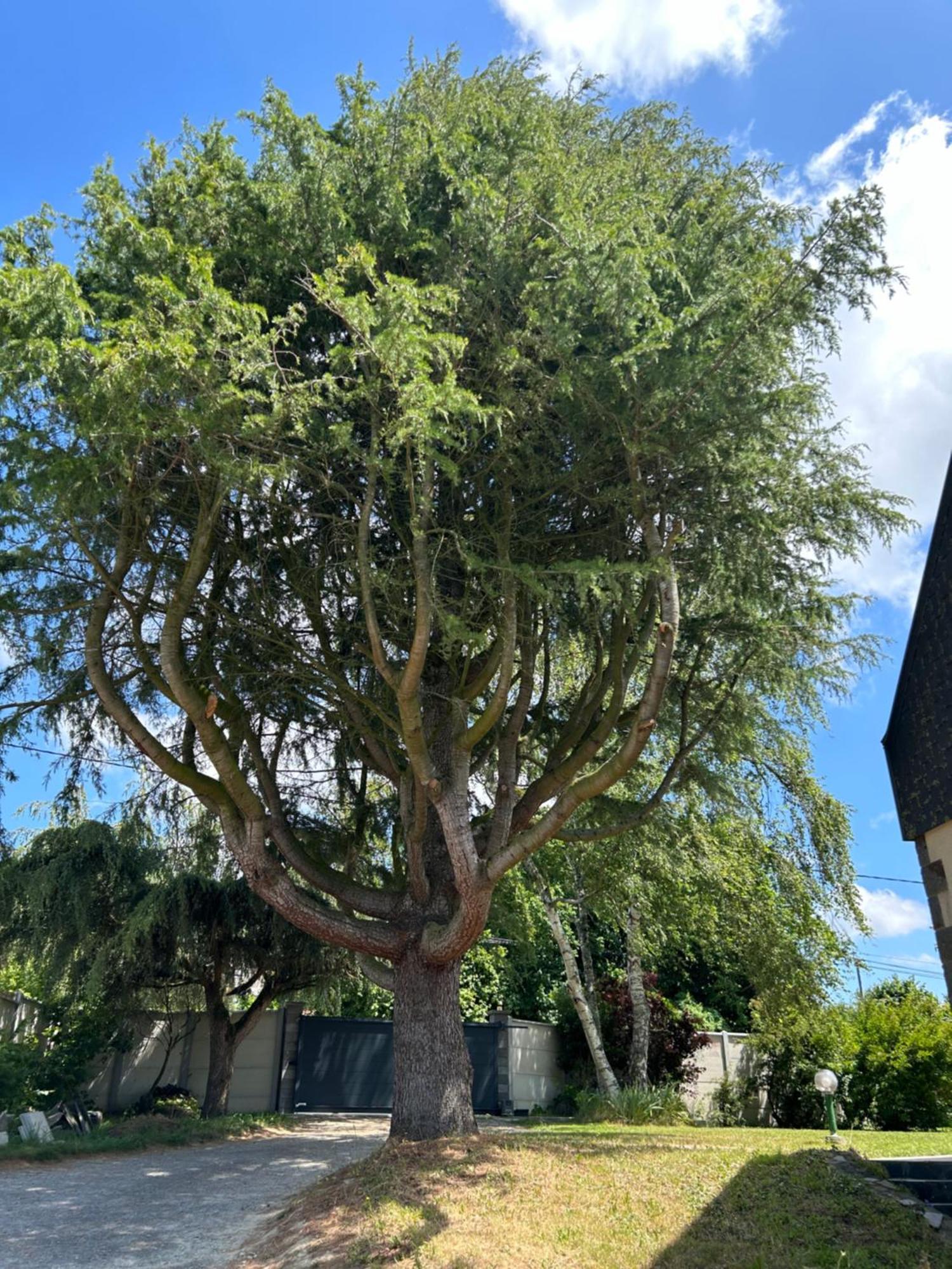 Arc En Ciel Du Mont Bed and Breakfast Ποντορσόν Εξωτερικό φωτογραφία